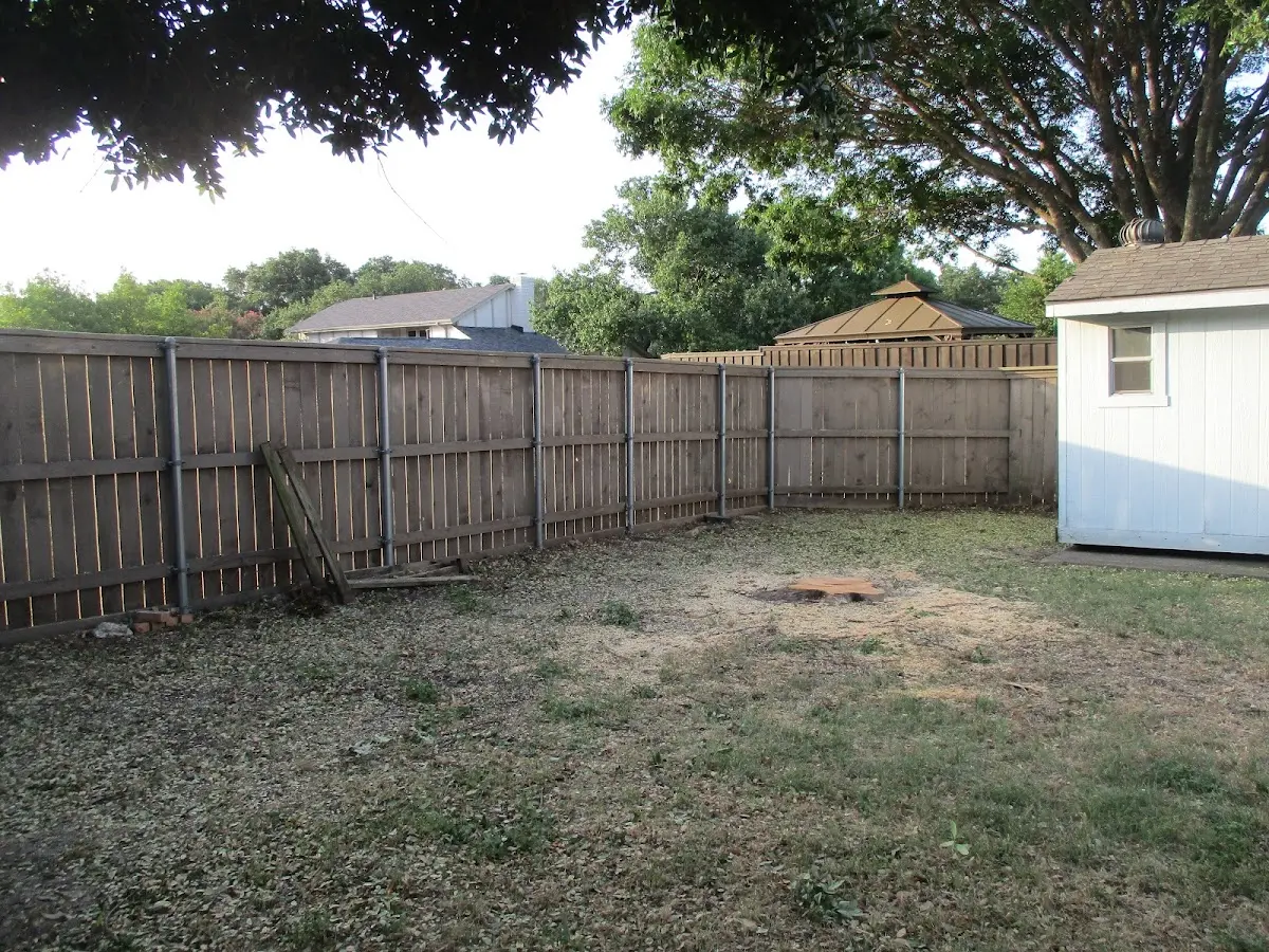 Cleared yard after professional tree removal in Seminole